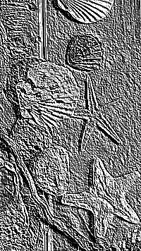 Skamielina