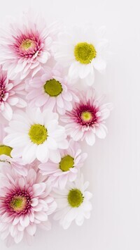 Oryginalny obrazek