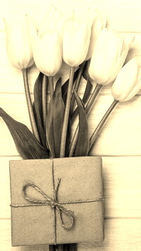 Szary + Sepia