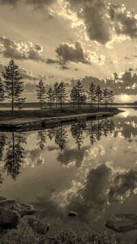 Sepia