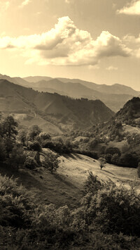 Sepia