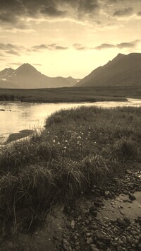 Sepia