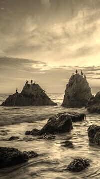 Szary + Sepia