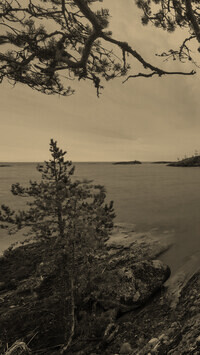 Szary + Sepia
