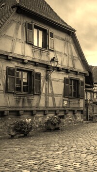 Szary + Sepia