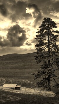 Sepia