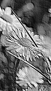 Skamielina