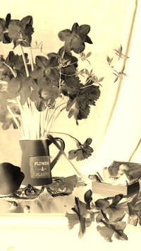 Sepia + Negatyw