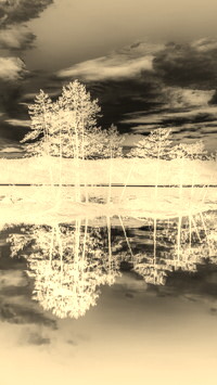Sepia + Negatyw