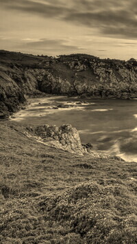 Szary + Sepia