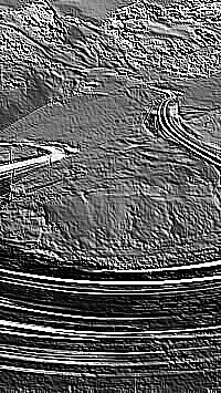 Skamielina