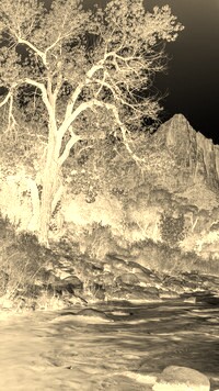 Sepia + Negatyw