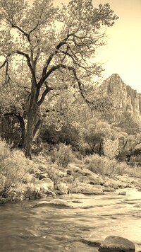 Szary + Sepia