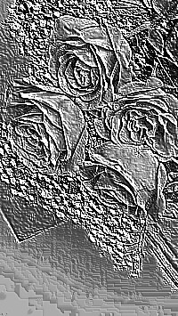 Skamielina