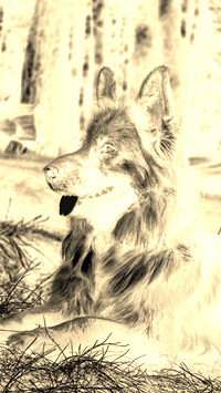Sepia + Negatyw