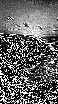 Skamielina