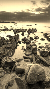 Sepia