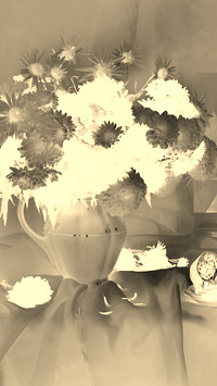 Sepia + Negatyw