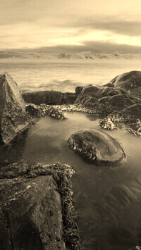 Sepia