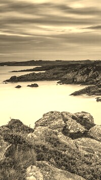 Sepia