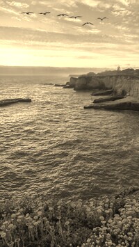 Sepia