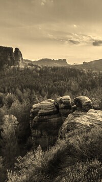 Szary + Sepia