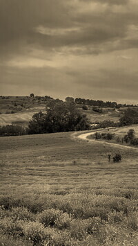 Szary + Sepia
