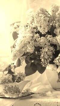 Szary + Sepia