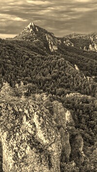 Szary + Sepia