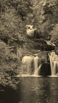 Sepia