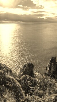 Szary + Sepia