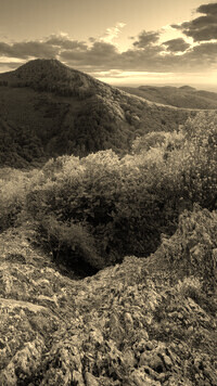 Sepia