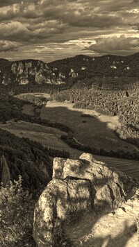 Sepia