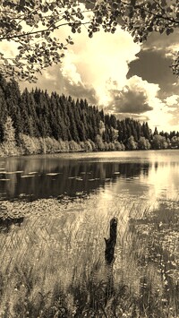 Szary + Sepia