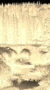 Sepia + Negatyw