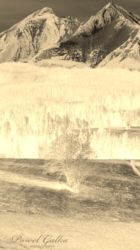 Sepia + Negatyw
