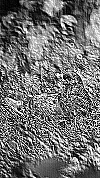 Skamielina