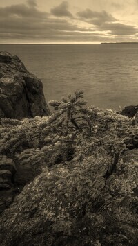 Sepia