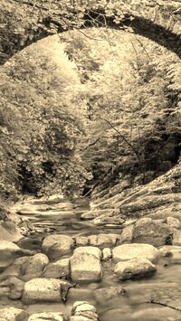 Szary + Sepia