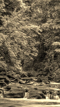 Szary + Sepia