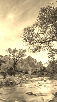 Szary + Sepia