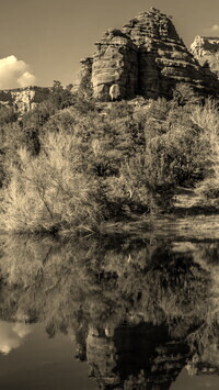 Szary + Sepia