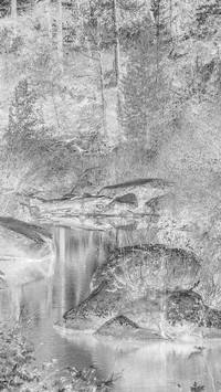 Szary + Negatyw