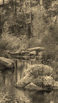 Szary + Sepia