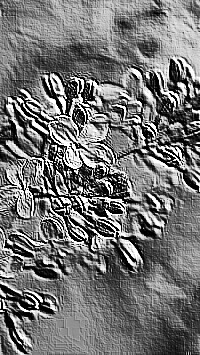 Skamielina