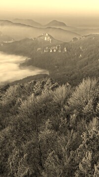 Sepia