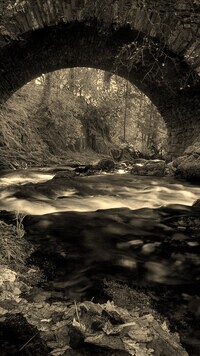 Sepia