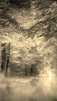 Szary + Sepia