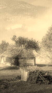 Szary + Sepia