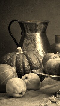 Szary + Sepia